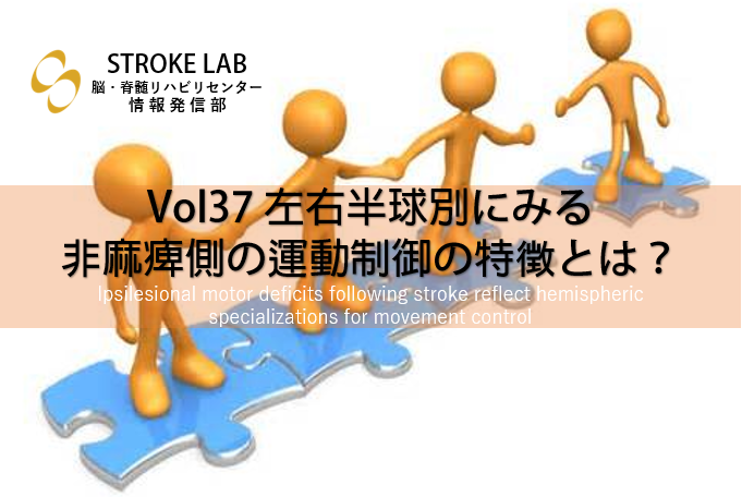 Vol 37 左右半球別にみる非麻痺側の運動制御の特徴とは 脳卒中 脳梗塞のリハビリ論文サマリー 脳卒中 神経系 自費リハビリ施設 Stroke Lab 東京